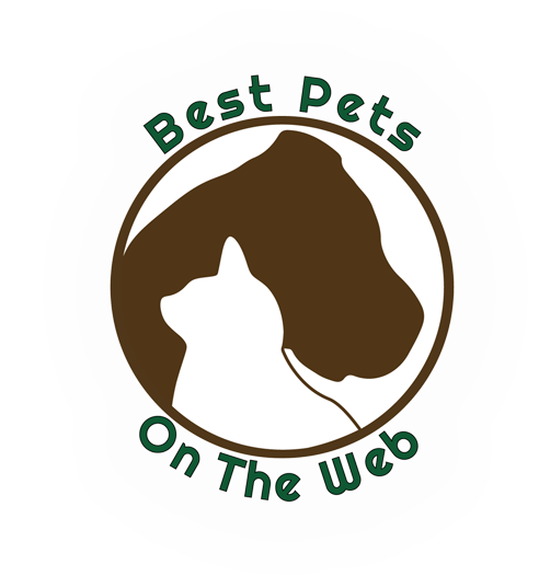 Best Pets On The Web